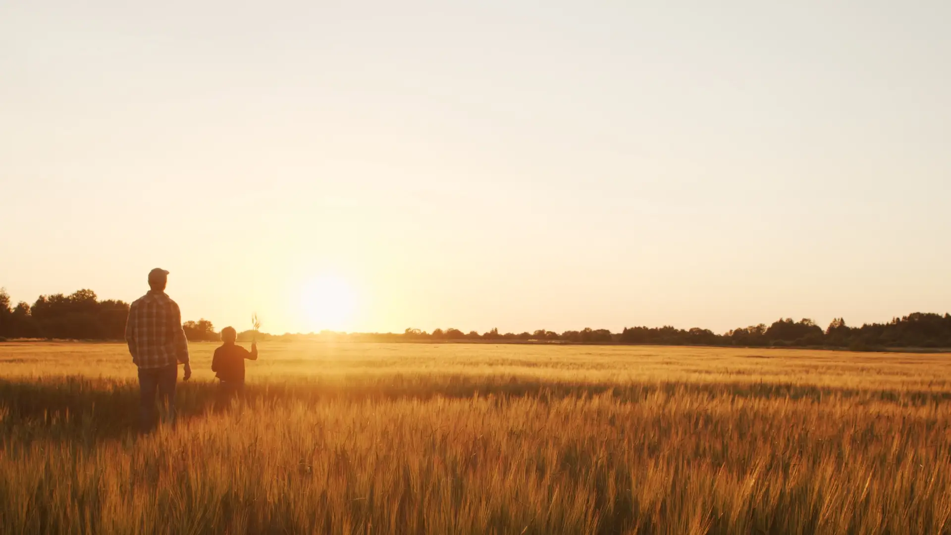 What happens without a ranch succession plan and estate planning strategy