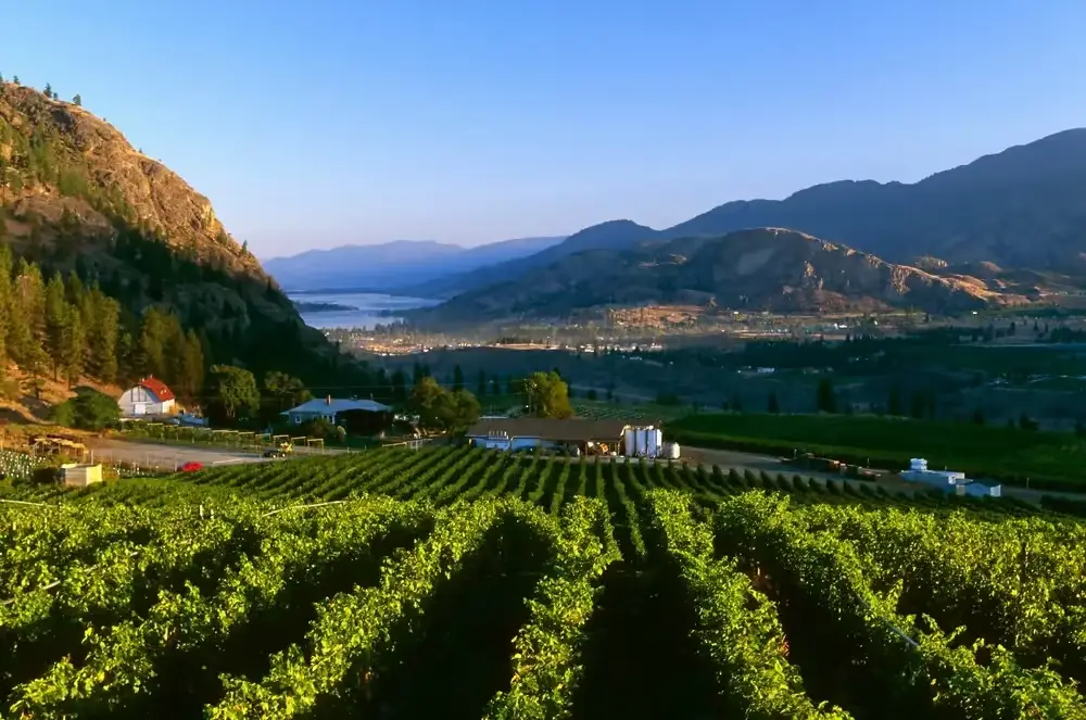 Section 1062 Farmland Sales: Gain Recognition Rules vs. Installment Sale Planning